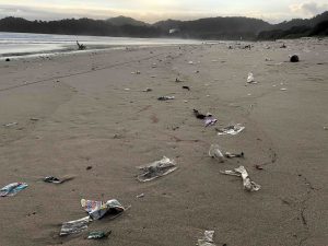 Plastic Waste Littering Cemara Beach in Banyuwangi (Rendra Rafsanjani Arifin / EcoRanger)