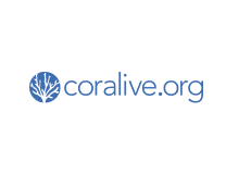 logo 19
