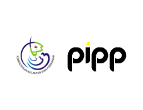 logo 8